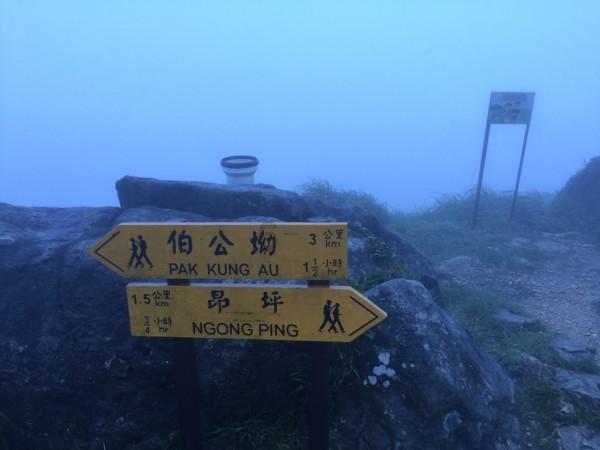 跳动的圆球