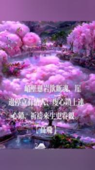 熊出没夺宝历险